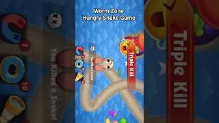 Worm Zone Hungry Snake Game #wormszone #snake #snakegame #satisfying #satisfyingvideo #gameplay