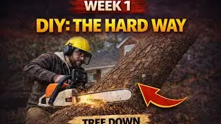 Week 1: DIY the Hard Way (Tree Removal, Scrap Wood Storage Rack, Drywall Repair)