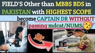 Top 12 FIELDs other than MBBS after fsc PRE MEDICAL
