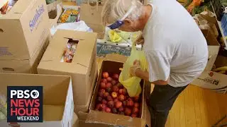 The age-old practice of &lsquo;gleaning&rsquo; is feeding people during the pandemic