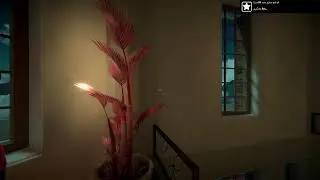 Viewfinder - Live Stream