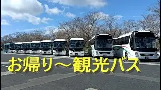 修学旅行 ツアー観光バス知覧を走る🚍🚍🚍南九州市知覧町🚍2022年9月13日School excursion and tour sightseeing buses ran through Ch