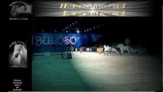 EQUITANA 2011, HOP TOP Show 
