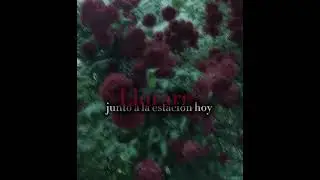 porque te vas?...