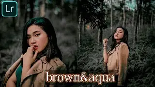 Tutorial cara edit filter brown & Aqua Lightroom mobile