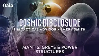 Mantis ETs & Grey Aliens: Who Is In Control of the Contactees?