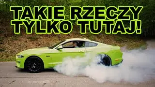 8 ZALET MUSTANGA GT! *oceniam po roku użytkowania* 5.0 V8
