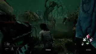 Survivor and killer COOP