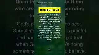 Romans 8:28 for Your Day🙏#onthisday #bibleverse #romans8 #god #jesus #lovejesuschrist #thankujesus