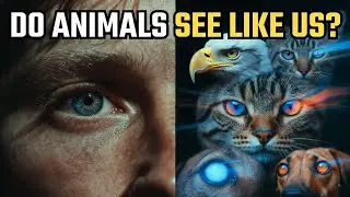 क्या जानवर इंसानों की तरह देखते हैं? #animals #science #AnimalFacts#AmazingFacts#knowledge