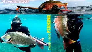 I SHOT A HUGE MUTTON SNAPPER IN SHALLOW WATER. [ MY PERSONAL BEST SNAPPER CATCH]