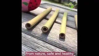 Biodegradable Organic  Natural Bamboo Straw
