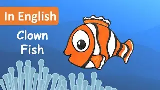 Clown Fish | Easy Fun Facts for Kids and Toddlers in English