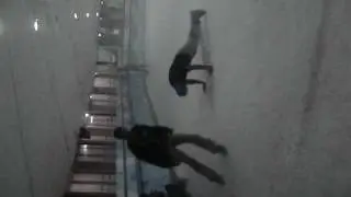 MOV01050