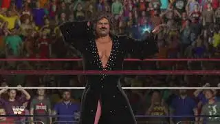 WWF Superstars 