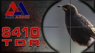 Airgun Hunting: Starling Pest Control in South Africa