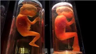 DANGER: Everybody must watch this before 2045