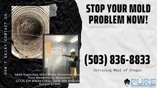 Mold Inspection West Slope Beaverton Oregon - Pure Maintenance Beaverton - 503-836-8833