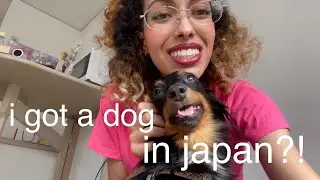 i got a dog in japan?!