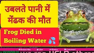 Frog Died in Boiling Water || उबलते पानी में मेंढक की मौत🙄😰 #motivation #youtube