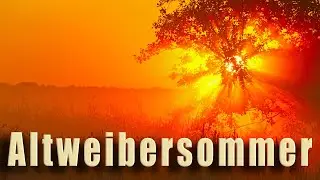 Altweibersommer und Herbstimpressionen🍁🍂🍁Einen schönen sonnigen  Spätsommertag🌞🍁