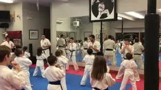 Basics. Brown belt test - Daniel Waage