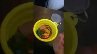 Feed my E,S,S,A&rsquo;S with me