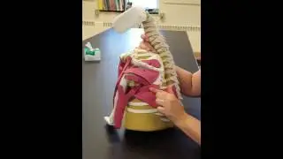 Applied Anatomy Shoulder Joint