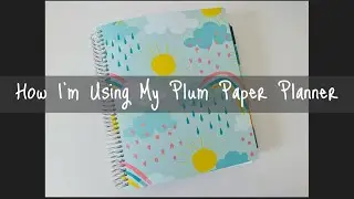 My 2021 Plum Paper Planner Set Up | 7x9 Vertical Layout