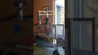 Pitbull very excited to run on treadmill