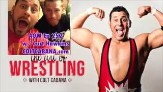 Curt Hawkins - Art of Wrestling Ep 252 w/ Colt Cabana