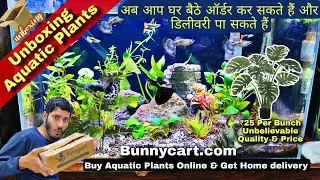 Aquatic Plants online, Unboxing live Aquarium Plants, Low Co2 Plants&nbsp;😱&nbsp;|&nbsp;Bunnycart