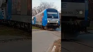 Cargo Train #tren #cargo #train #locomotive#siemens#hercules #grain#cfr#shorts#ldegm#oradea #cereals