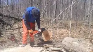 50cc Saws From Husqvarna, An overview & timed cuts (Husqvarna 543 too!)