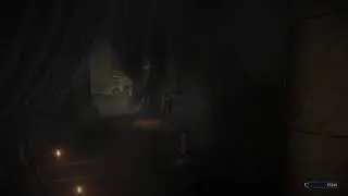 Ultra Athleticism & Focus. Irl healing healthregen.org