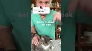 Средство от кошачьих прыщей