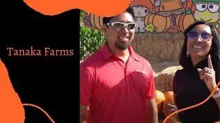 Tanaka Farms