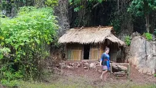 small palm tree in laos is the best food of primtitive life