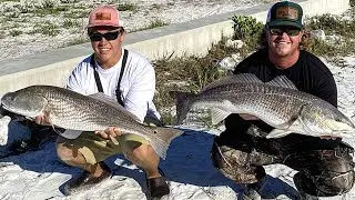 Our Biggest INSHORE SLAM From Land! Tampa Bay Flats Fishing