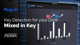 Mixed In Key Studio Edition - Key Detection for your DAW