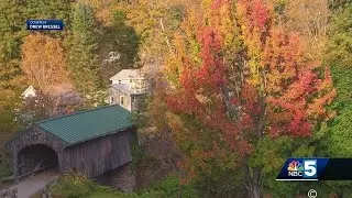 Fake foliage photos
