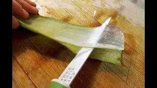 Tutorial: Fare il GEL d' ALOE vera in casa | Chiara Monique
