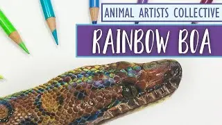 Animal Artists Collective | Drawing a SNAKE with Colored Pencil