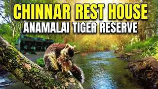 Chinnar Rest House @Petsandtravelwildlife