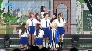 [예능연구소 직캠] 다이아 듣고싶어 @쇼!음악중심_20170826 Can't Stop DIA in 4K