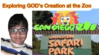 A Day at the Zoo | Exploring God&rsquo;s Creation 🐾 | Bible-Inspired Vlog