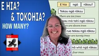 Using E hia & Tokohia to ask 'How Many' - Ngā Rerepātai Part Nine
