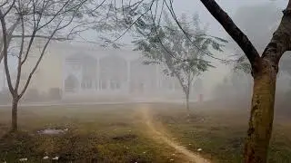 Comilla University 