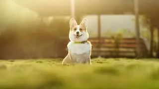 Factory#shorts#subscribe#youtubeshorts#funny#shortvideo#shortsfeed#viral#viralvideo#ytshorts#comedy 
