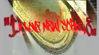 Polo Perks - ilovenewyork (Dir. @pg3gonzalez) Music Video #surfgang